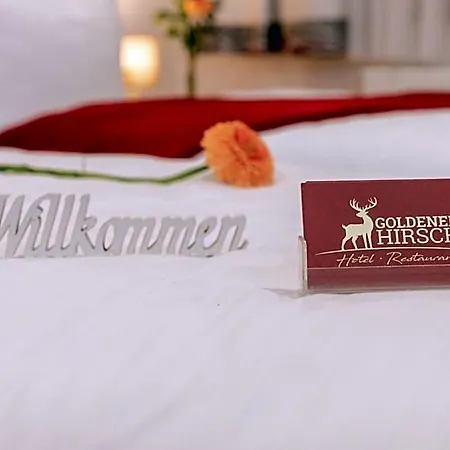 호텔 Restaurant Goldener Hirsch Donauwörth