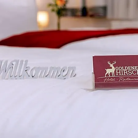 Restaurant Goldener Hirsch 호텔
